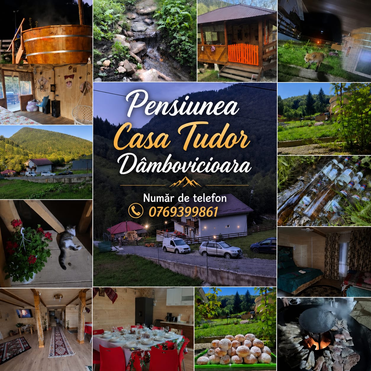 Casa Tudor Dambovicioara 
