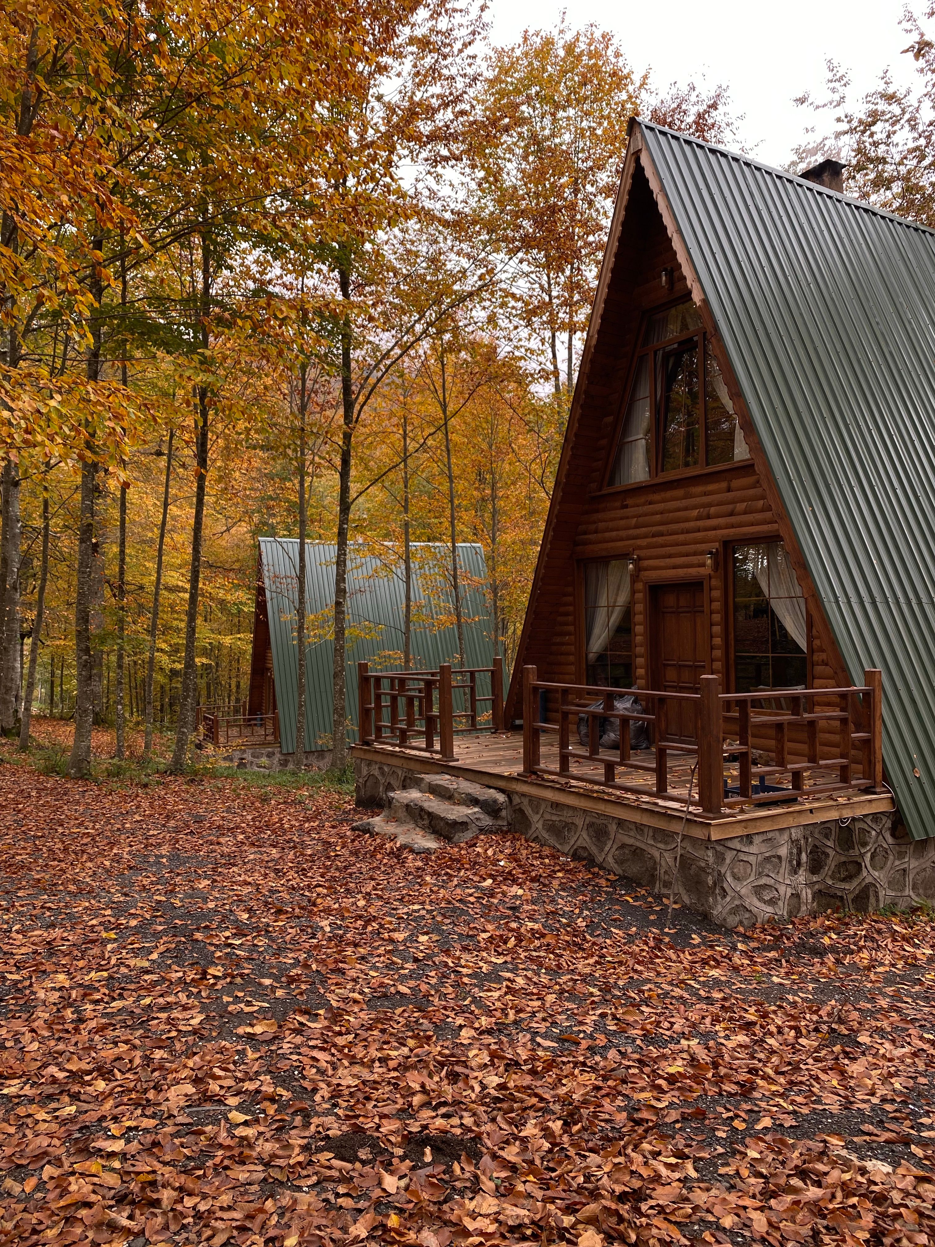 Cabane în pădure: ghid pentru o vacanță liniștită în natură