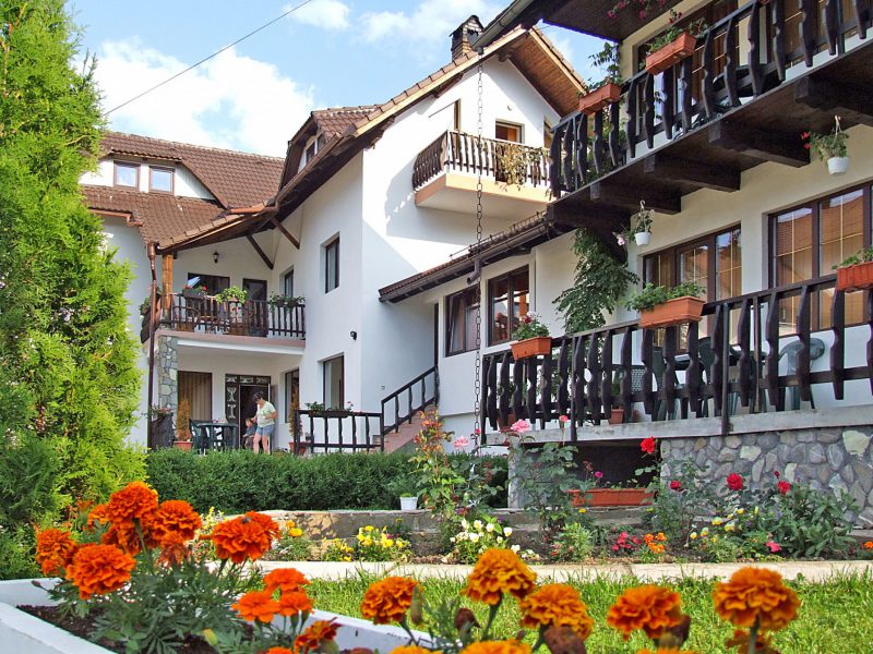 MOIECIU-BUCEGI